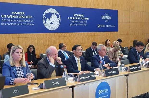 Le Vietnam presente sa vision a la reunion ministerielle de l’OCDE a Paris hinh anh 1