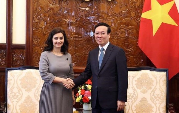 Le president Vo Van Thuong recoit l'ambassadrice de Bulgarie hinh anh 2