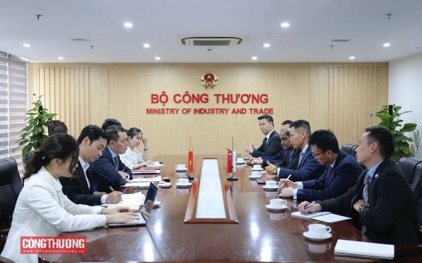 Vietnam et Singapour promeuvent leur cooperation dans le domaine de l'energie hinh anh 1