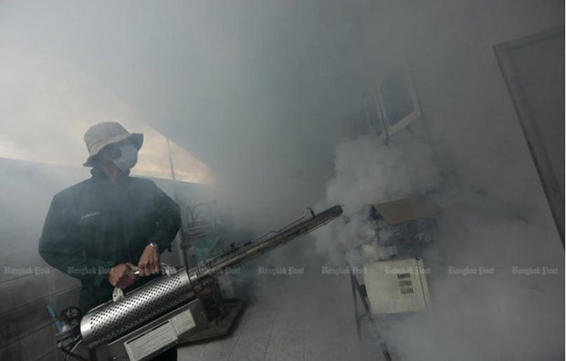 La Thailande enregistre un record eleve de cas de dengue hinh anh 1