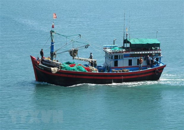 Quang Tri renforce la surveillance des bateaux pour mieux lutter contre la peche INN hinh anh 1