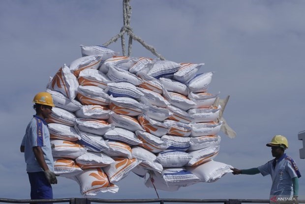 L'Indonesie signe un protocole d'accord sur l'importation d’un million de tonnes de riz d'Inde hinh anh 1