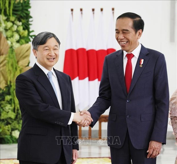 L'Indonesie et le Japon renforcent leur amitie hinh anh 1