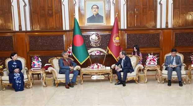 Le president bangladais envisage de promouvoir la cooperation multisectorielle avec le Vietnam hinh anh 2