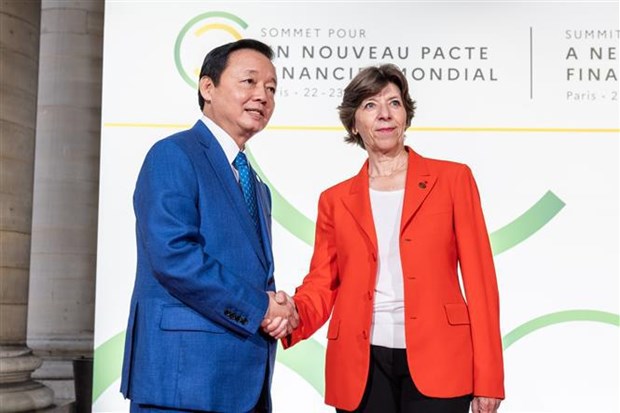 Le Vietnam participe au Sommet pour un nouveau pacte financier mondial hinh anh 3