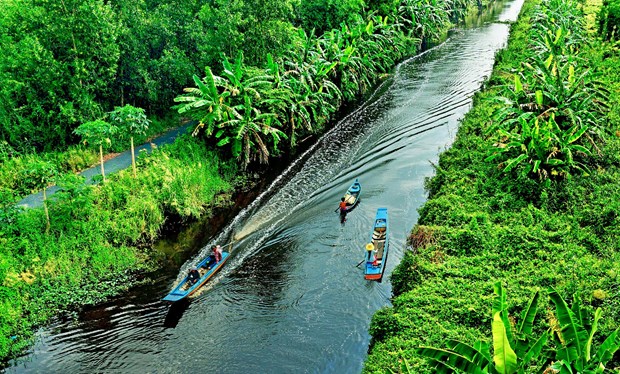 Plus de 1.450 milliards de dongs pour developper le tourisme durable au parc national d'U Minh Ha hinh anh 1