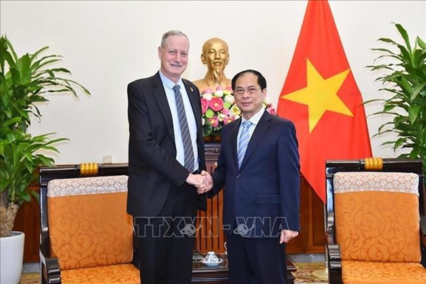 Le ministre des Affaires etrangeres Bui Thanh Son recoit l'ambassadeur d'Israel hinh anh 1