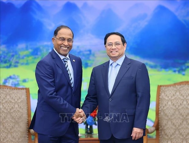 Vietnam et Malasie estiment la cooperation bilaterale positive dans divers domaines hinh anh 2