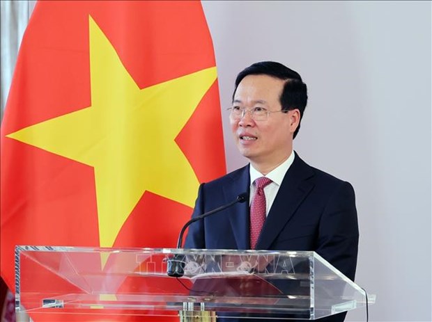 Les presidents vietnamien et autrichien rencontrent la presse hinh anh 2