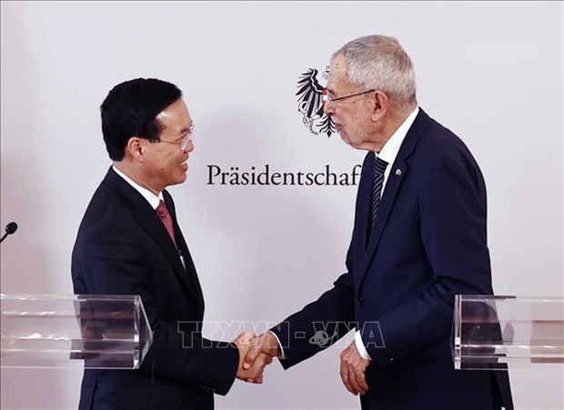 Les presidents vietnamien et autrichien rencontrent la presse hinh anh 3