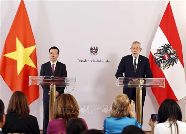 Les presidents vietnamien et autrichien rencontrent la presse hinh anh 1