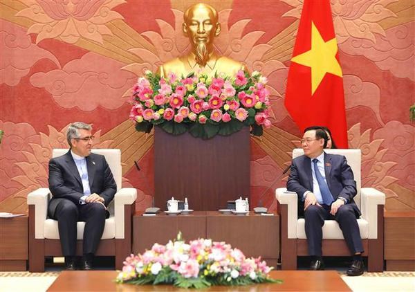 Le president de l’AN du Vietnam recoit les ambassadeurs d'Indonesie et d'Iran hinh anh 2