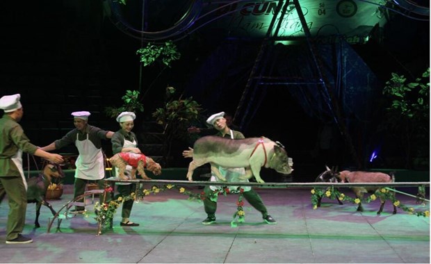 Au Theatre de la Federation du cirque du Vietnam, l’hommage au fil du temps hinh anh 3