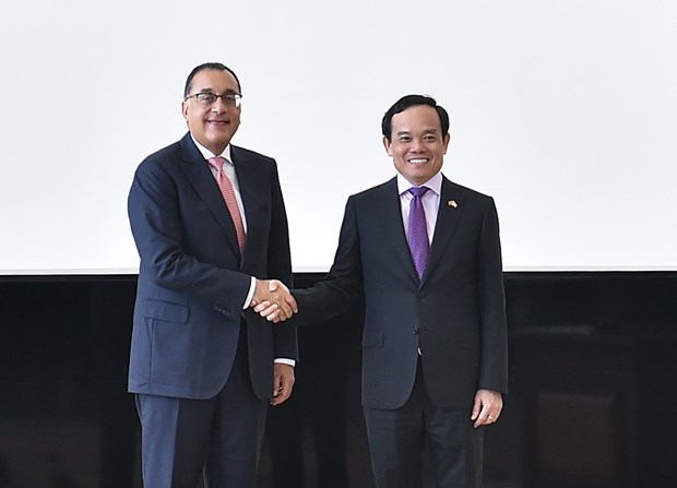 Le vice-PM Tran Luu Quang s'entretient avec le Premier ministre egyptien hinh anh 1