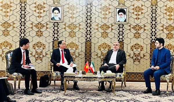 Le Vietnam et l'Iran renforcent leur cooperation multiforme hinh anh 1