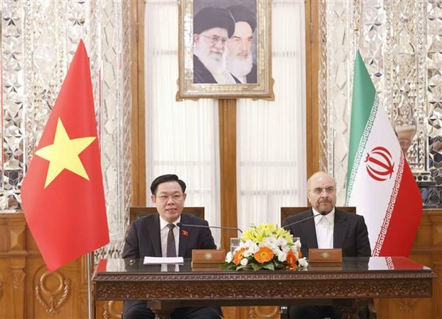 Vietnam-Iran: Conference de presse conjointe des presidents des organes legislatifs hinh anh 1