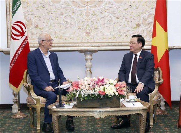 Le president de l'AN Vuong Dinh Hue recoit le president de l'Association d'amitie Iran-Vietnam hinh anh 1