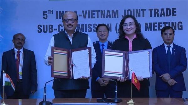 Le Vietnam et l'Inde promeuvent la cooperation economique et commerciale hinh anh 1
