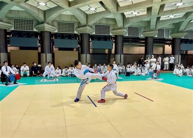 Tournoi de karate vietnamien au Japon hinh anh 1