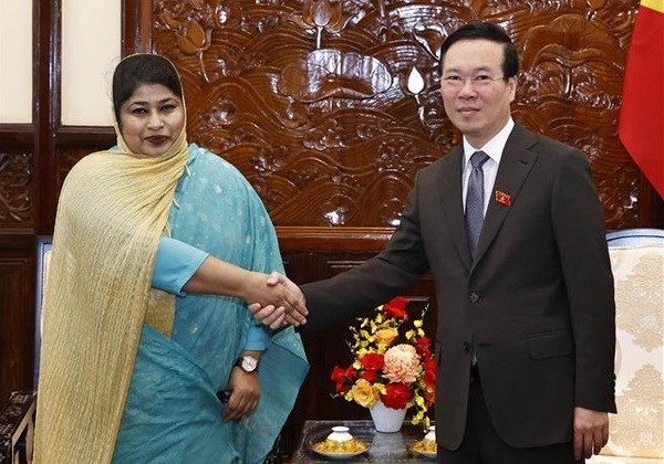 Le president suggere au Vietnam et au Bangladesh de stimuler leur cooperation multisectorielle hinh anh 1