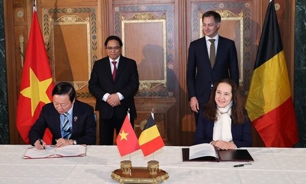 La presidente du Senat de Belgique au Vietnam pour approfondir les liens hinh anh 2