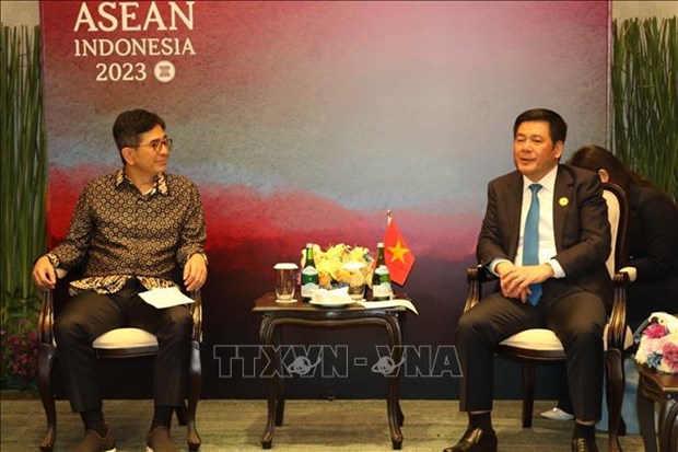 Le Vietnam et l’Indonesie promeuvent leur cooperation economique et commerciale hinh anh 2