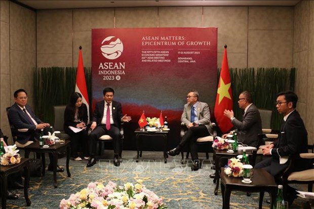 Le Vietnam et l’Indonesie promeuvent leur cooperation economique et commerciale hinh anh 1