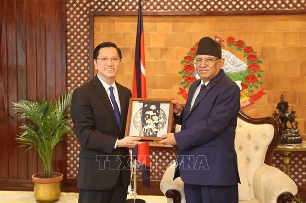 Le Nepal veut renforcer ses liens commerciaux et economiques avec le Vietnam hinh anh 1
