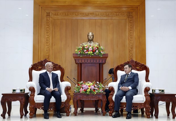 Une delegation du Comite de la paix du Vietnam en visite au Laos hinh anh 1