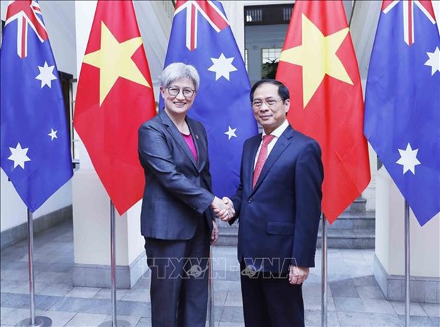 La 5e reunion ministerielle des Affaires etrangeres Vietnam-Australie se tient a Hanoi hinh anh 1
