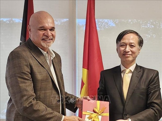 La Papouasie-Nouvelle-Guinee veut developper ses relations avec le Vietnam hinh anh 1