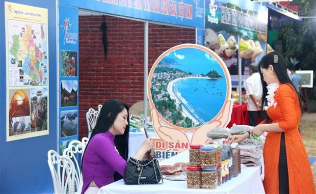 Exposition «Patrimoine culturel maritime et insulaire vietnamien» a Binh Thuan hinh anh 2