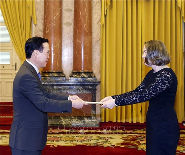 Le president Vo Van Thuong recoit les ambassadeurs d’Irlande, d’Italie, de Lituanie et de R de Coree hinh anh 1