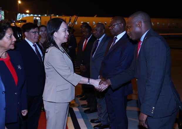 La vice-presidente Vo Thi Anh Xuan entame une visite officielle au Mozambique hinh anh 1