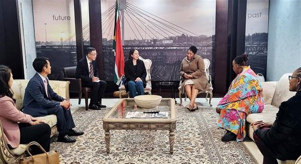 La vice-presidente Vo Thi Anh Xuan en visite officielle en Afrique du Sud hinh anh 2