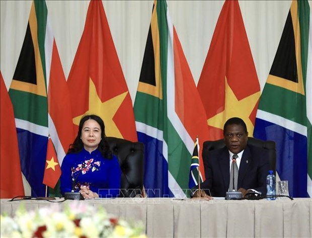 Une nouvelle etape dans les relations Vietnam - Mozambique et Vietnam - Afrique du Sud hinh anh 2