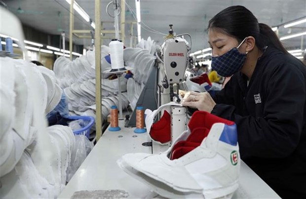 Le Vietnam joue un role important dans les chaines d’approvisionnement d’Adidas et de Nike hinh anh 2