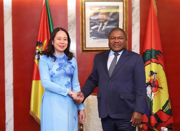 Une nouvelle etape dans les relations Vietnam - Mozambique et Vietnam - Afrique du Sud hinh anh 1