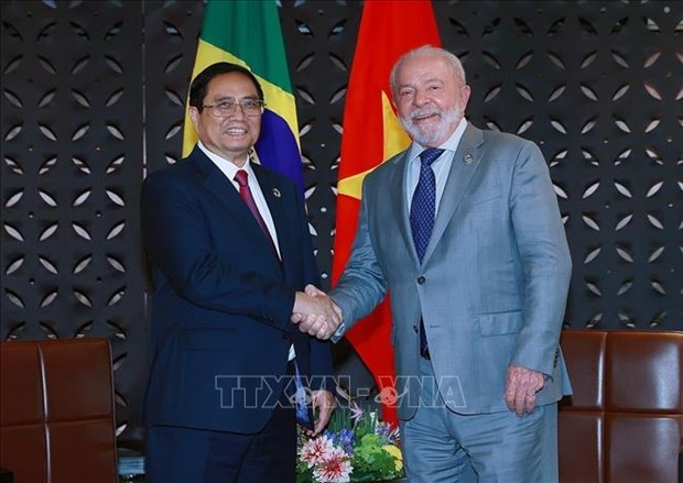 La visite au Bresil du Premier ministre Pham Minh Chinh ouvrira des opportunites de cooperation multiforme hinh anh 2