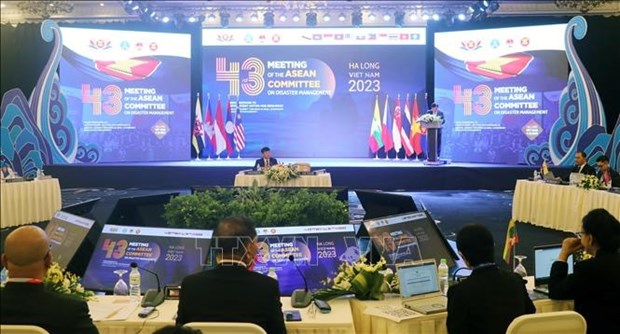 Le Comite de l’ASEAN sur la gestion des catastrophes se reunit a Quang Ninh hinh anh 2
