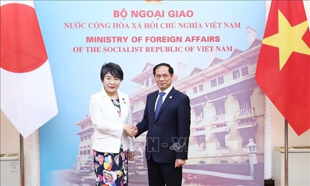 Continuer a approfondir le partenariat strategique approfondi Vietnam-Japon hinh anh 1