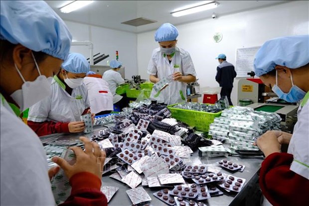 Le Vietnam se dote d’une strategie de developpement de l’industrie pharmaceutique hinh anh 2