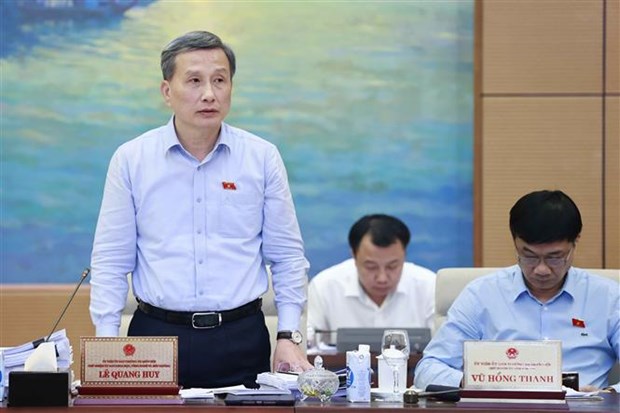 L'AN vietnamienne examine la politique de developpement energetique hinh anh 2
