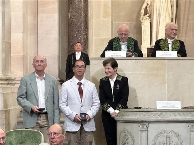 Deux chercheurs vietnamiens recompenses par l'Academie des sciences (France) hinh anh 1