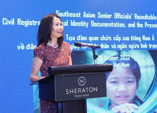 Le Vietnam et plusieurs autres pays d’Asie du Sud-Est discutent de la prevention de l'apatridie hinh anh 1