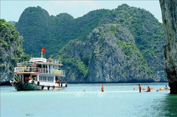 Pour faire de la baie d'Ha Long une destination verdoyante, propre et magnifique hinh anh 1