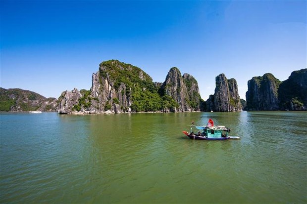 Pour faire de la baie d'Ha Long une destination verdoyante, propre et magnifique hinh anh 2