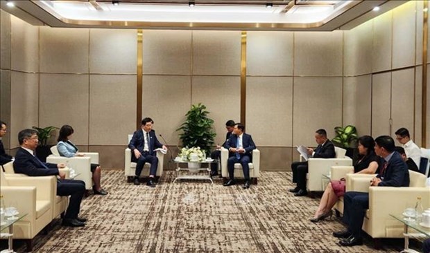 Ho Chi Minh-Ville et la province chinois du Jiangsu renforcent leur cooperation economique hinh anh 1
