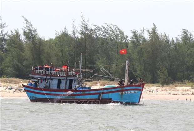 Quang Tri propose des mesures pour mieux gerer les navires de peche hinh anh 1