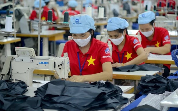 Les entreprises vietnamiennes doivent respecter le Pacte Vert pour l'Europe hinh anh 1